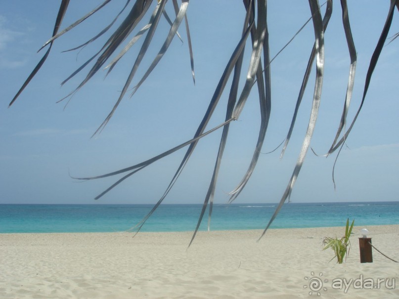 фото Occidental Caribe