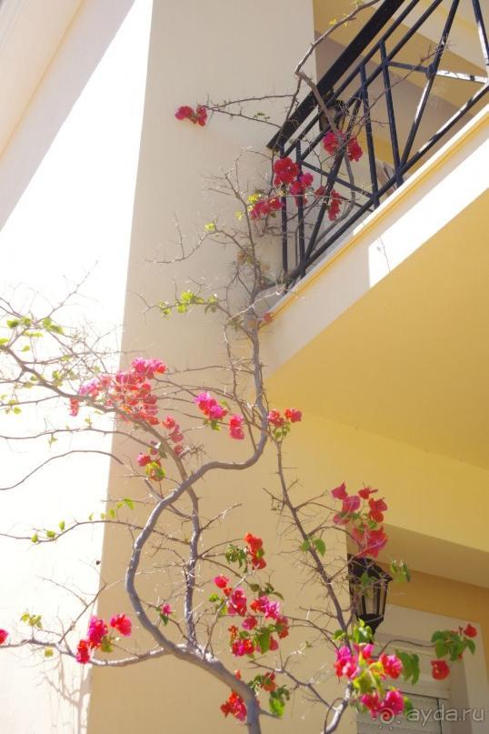 Гостиничный домик.