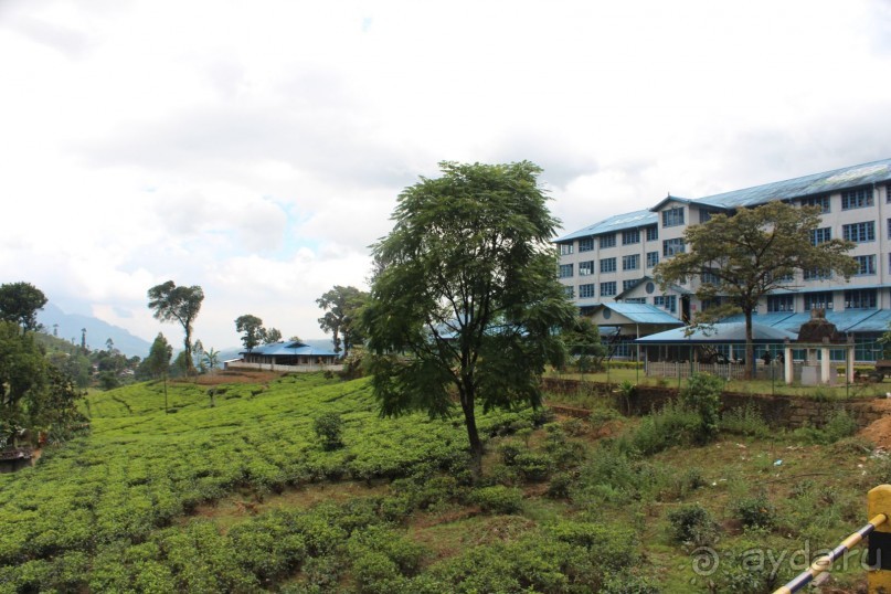 Экзотическая, но неготовая пока к наплыву туристов Шри Ланка.