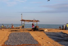 Экзотическая, но неготовая пока к наплыву туристов Шри Ланка.