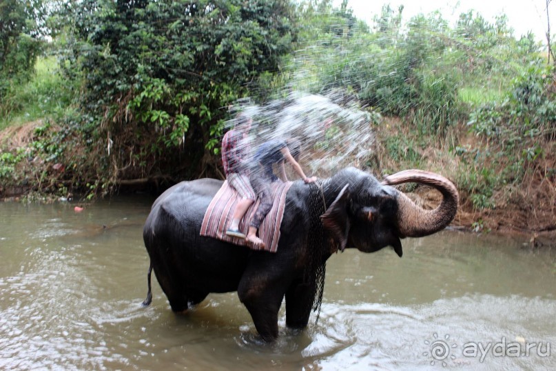 Экзотическая, но неготовая пока к наплыву туристов Шри Ланка.