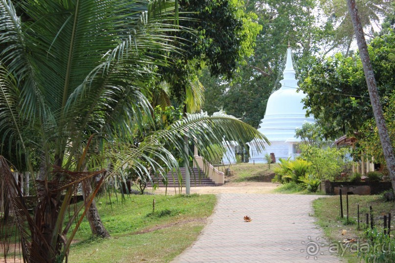 Экзотическая, но неготовая пока к наплыву туристов Шри Ланка.