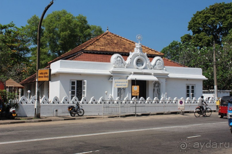 Экзотическая, но неготовая пока к наплыву туристов Шри Ланка.