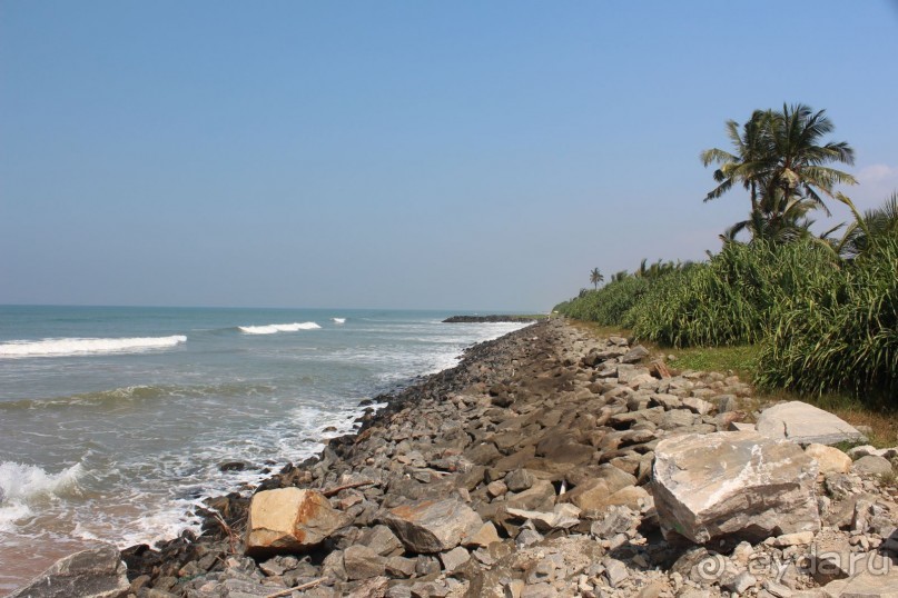 Экзотическая, но неготовая пока к наплыву туристов Шри Ланка.