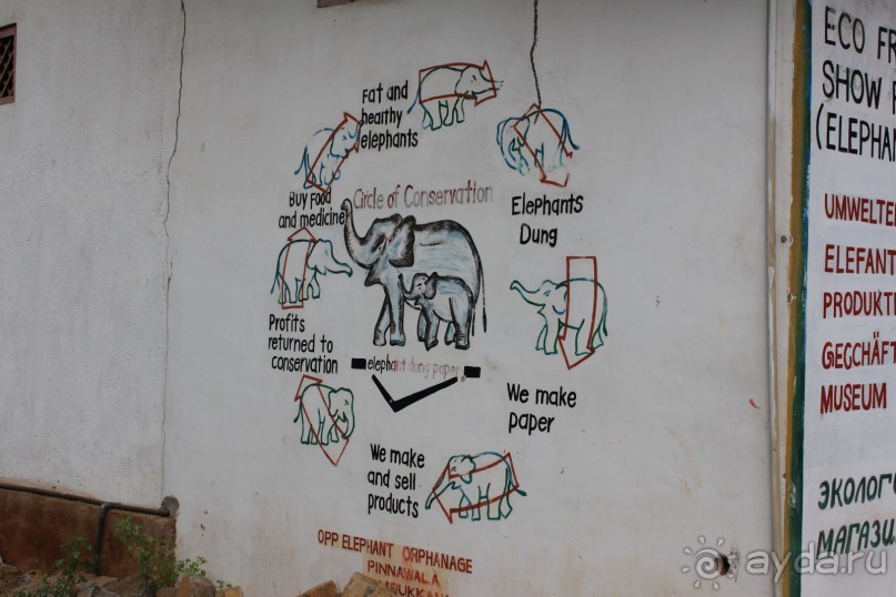 Экзотическая, но неготовая пока к наплыву туристов Шри Ланка.