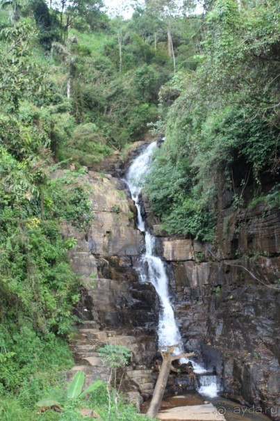 Экзотическая, но неготовая пока к наплыву туристов Шри Ланка.