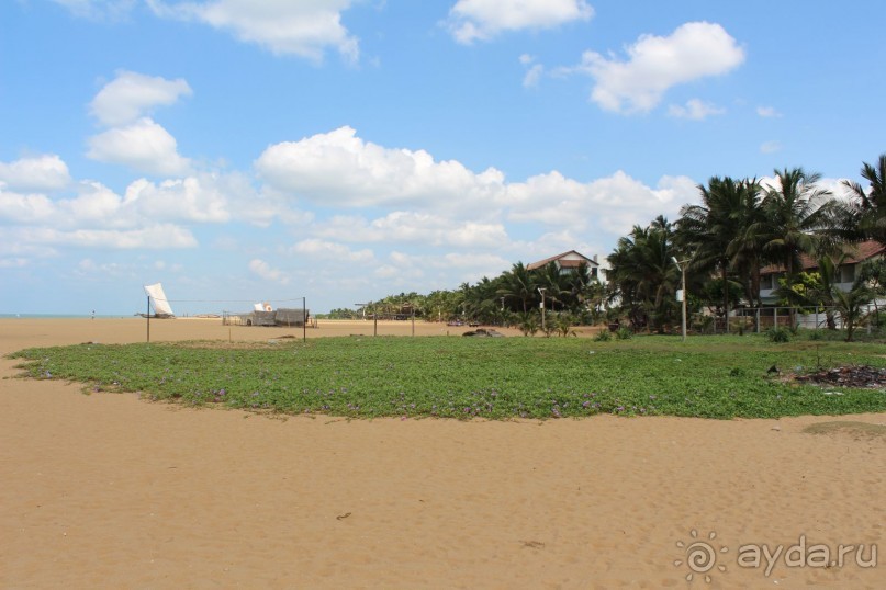 Экзотическая, но неготовая пока к наплыву туристов Шри Ланка.