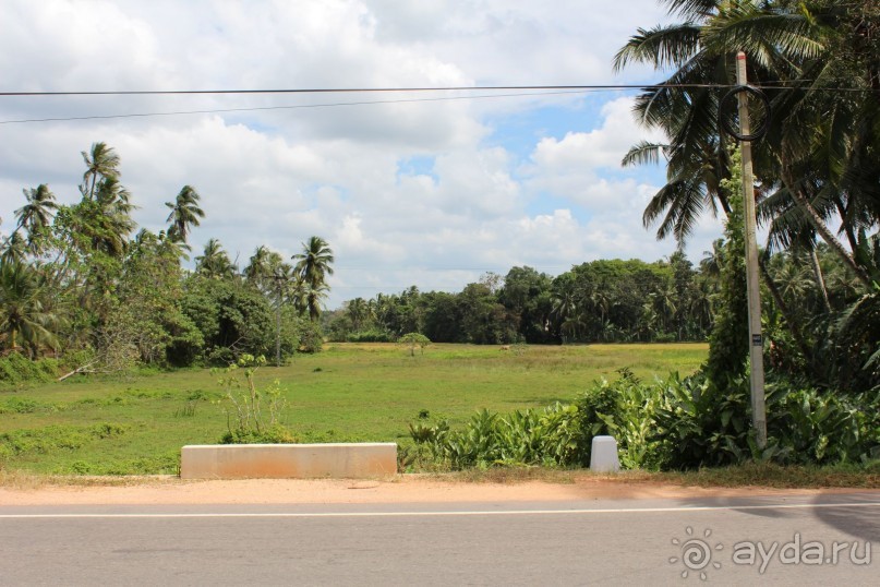 Экзотическая, но неготовая пока к наплыву туристов Шри Ланка.