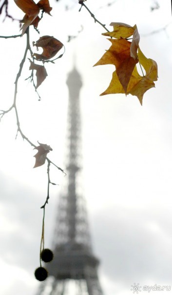 Попарижские прогулки