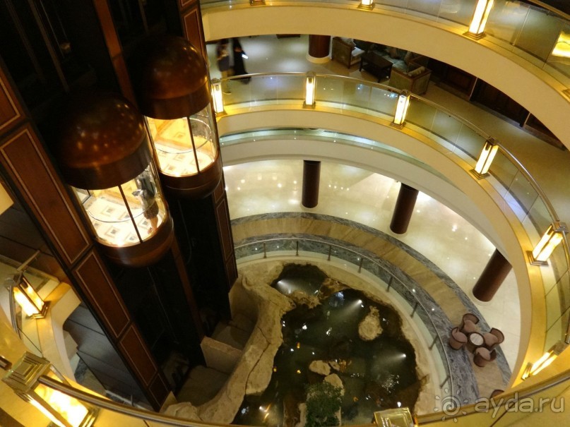 Зимние впечатления