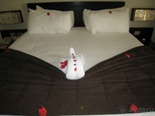 фото Palm Beach Caribbean