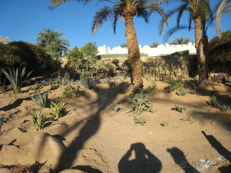 фото Palm Beach Caribbean