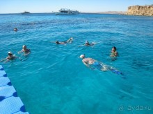 фото Palm Beach Caribbean