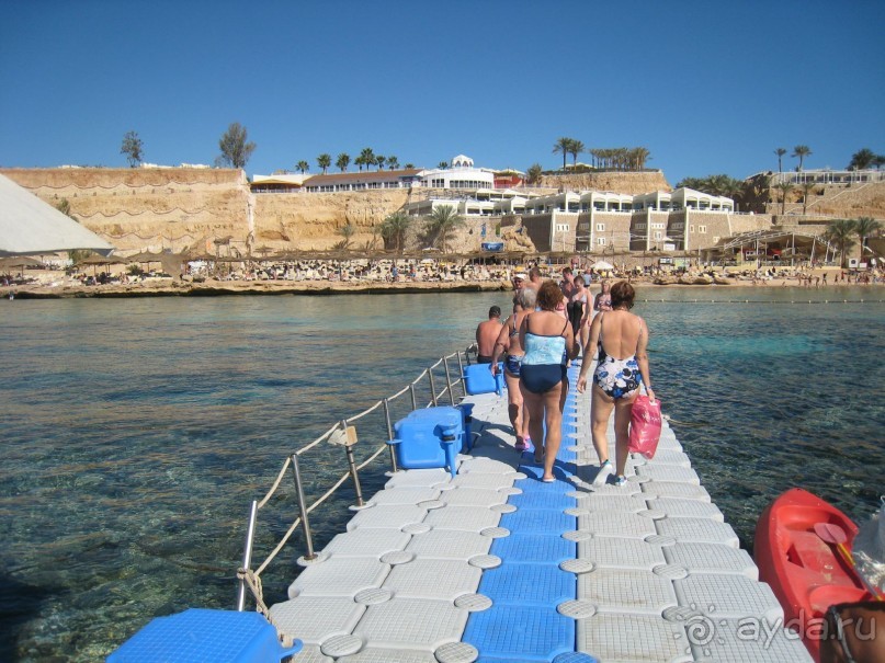 фото Palm Beach Caribbean