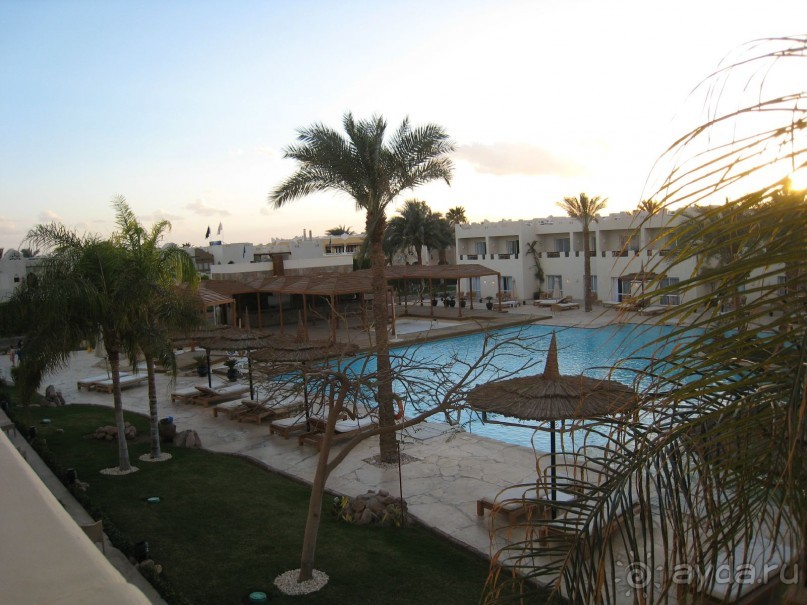 Кактусовый оазис