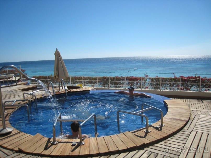 Кактусовый оазис