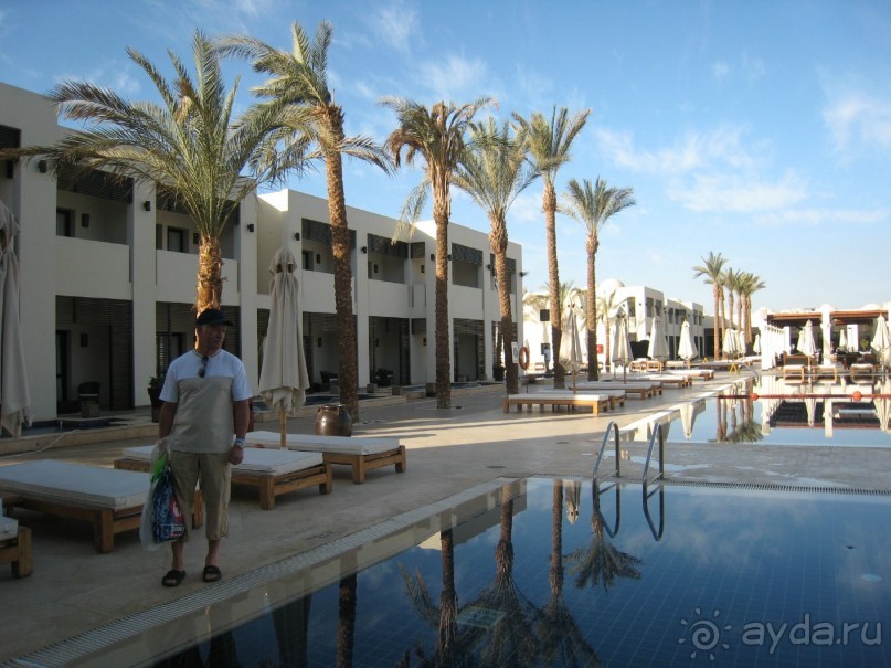 Кактусовый оазис