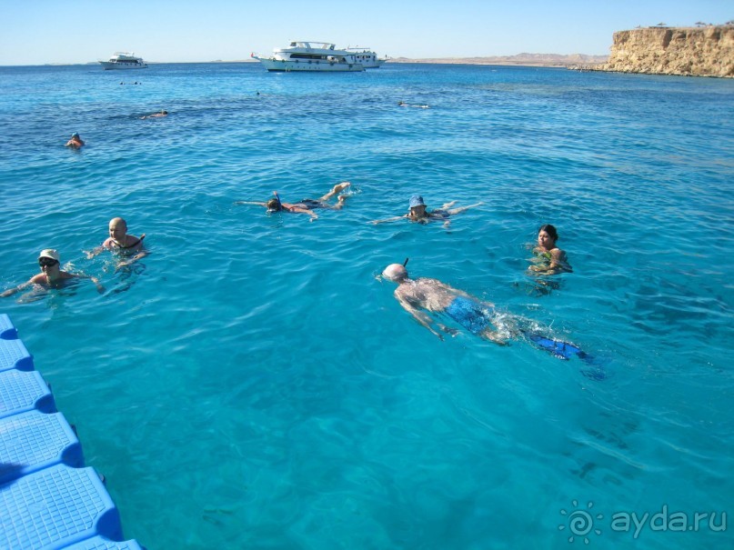 Кактусовый оазис