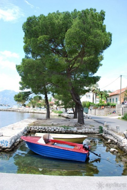 фото Подгорицы