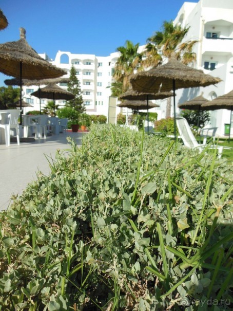 фото Jinene Hotel