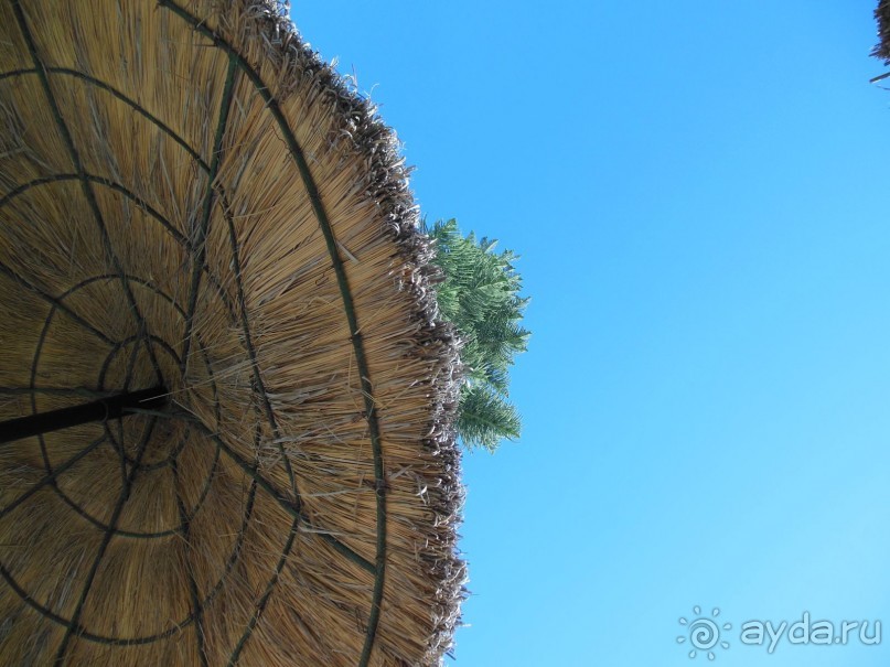 фото Jinene Hotel