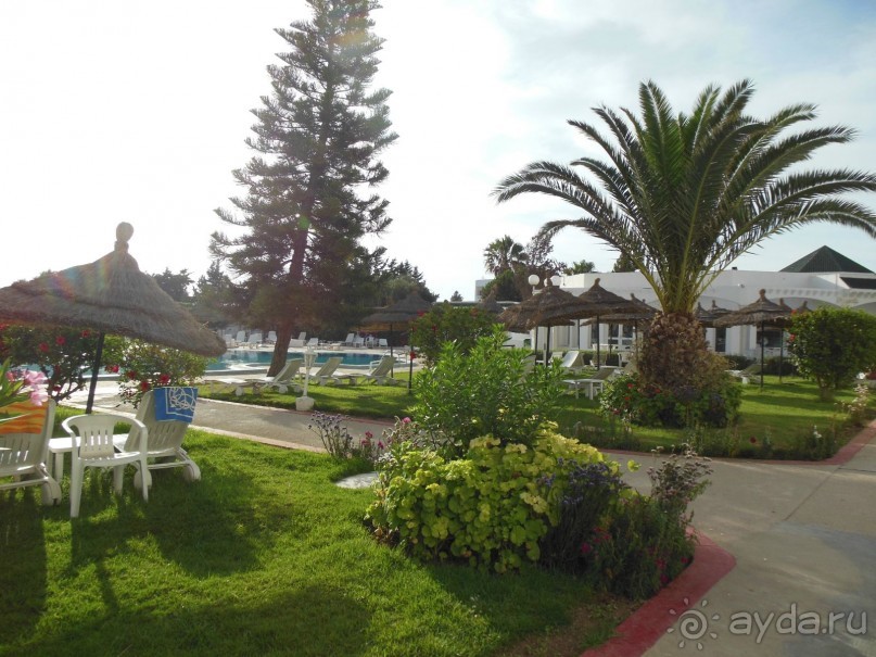 фото Jinene Hotel