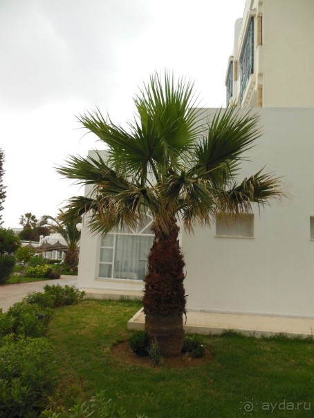 фото Jinene Hotel