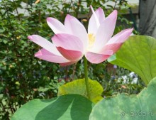 Если хочешь в октябре на теплое море - не капризничай!