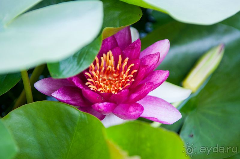 Если хочешь в октябре на теплое море - не капризничай!