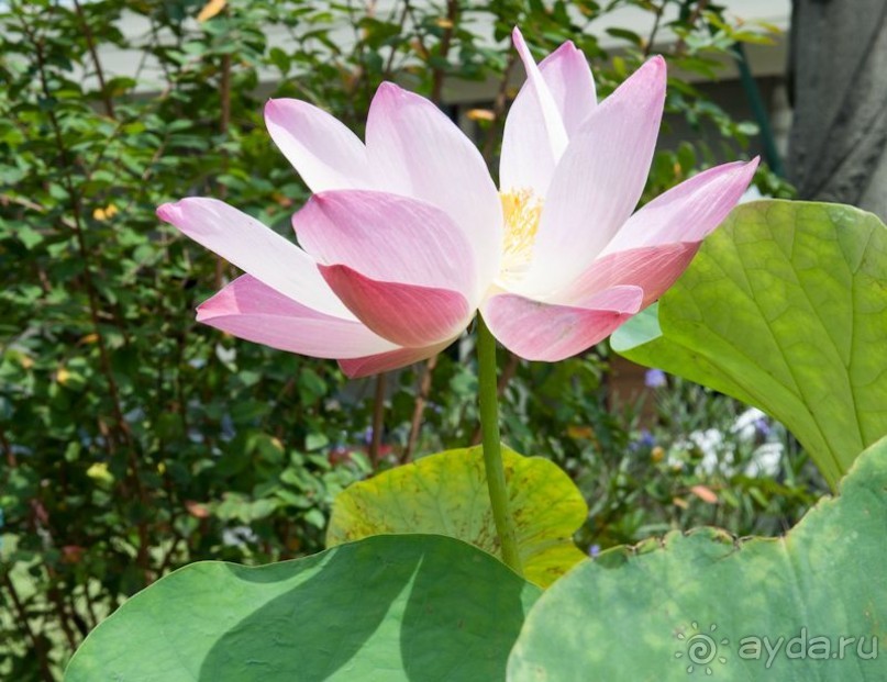 Если хочешь в октябре на теплое море - не капризничай!