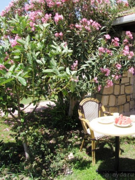 фото Horus Paradise Luxury Resort