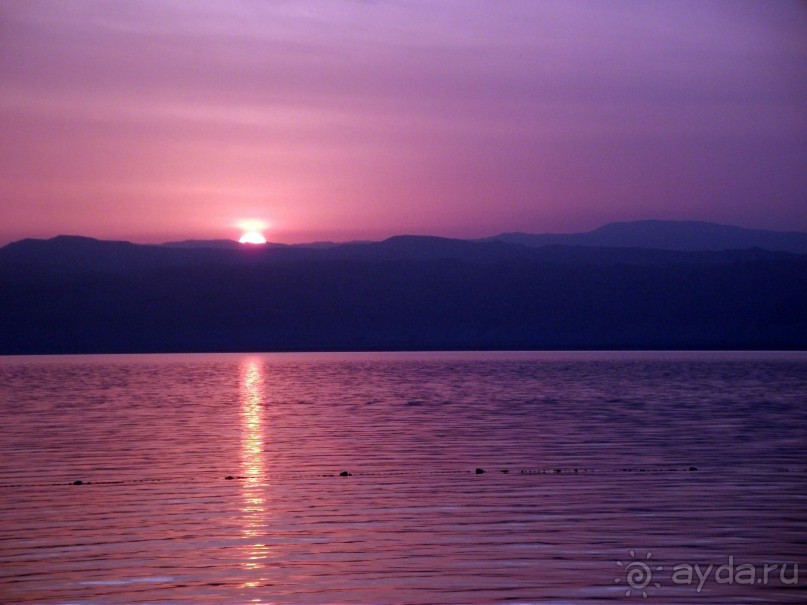 фото Dead Sea Spa Hotel