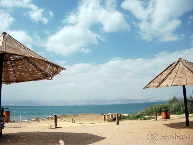 фото Dead Sea Spa Hotel