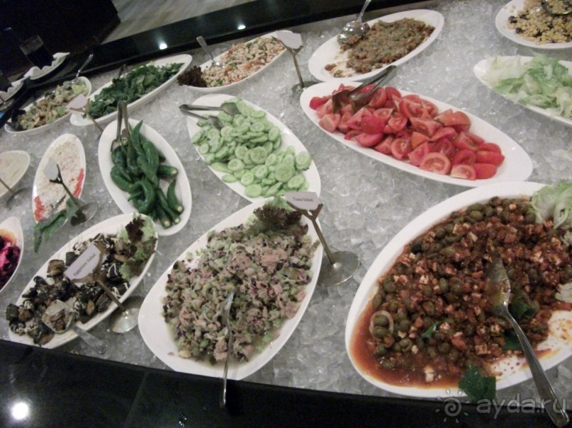 фото Dead Sea Spa Hotel