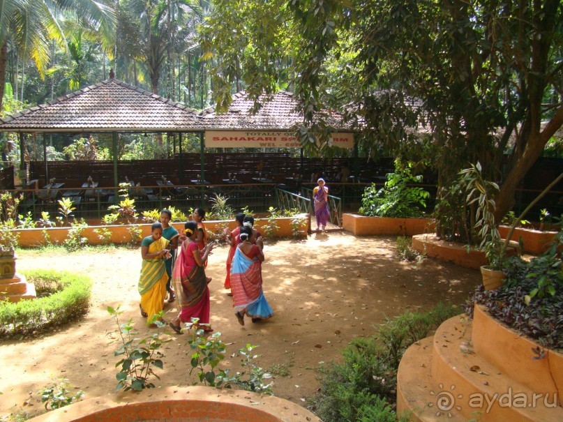 фото Alila Diva Goa