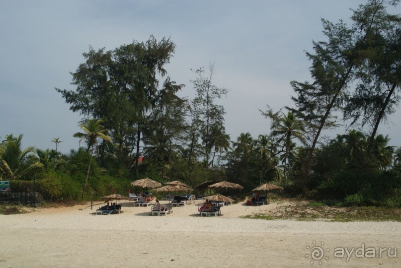 фото Alila Diva Goa
