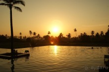 Жемчужина Гоа