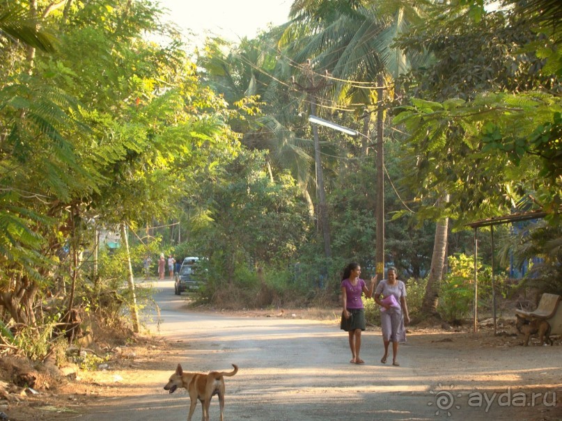Жемчужина Гоа