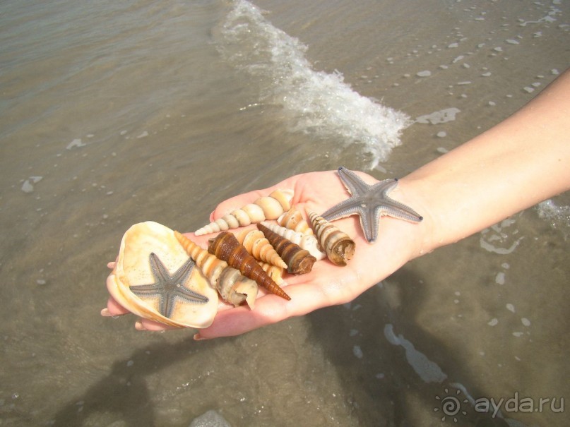 Жемчужина Гоа