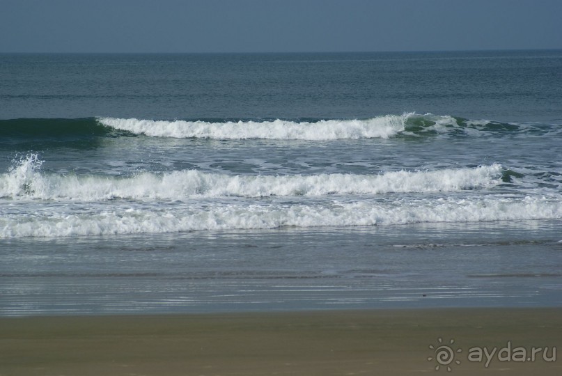 Жемчужина Гоа