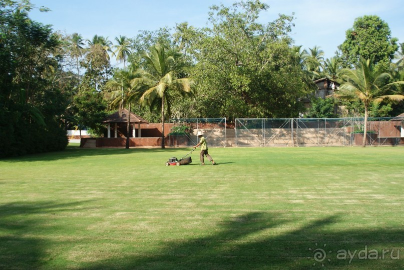 Жемчужина Гоа