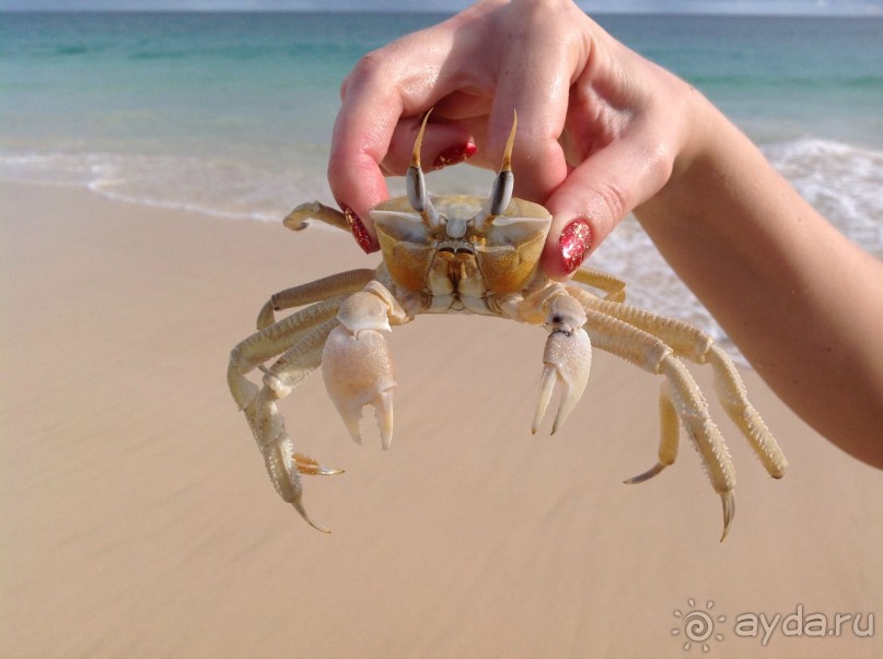 песчаный замок на побережье океана