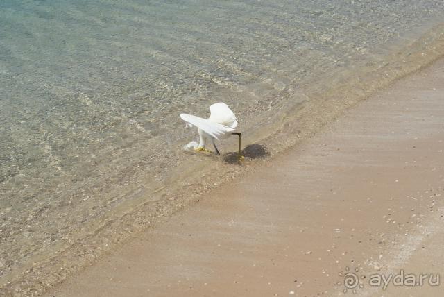 фото Hotel Orion