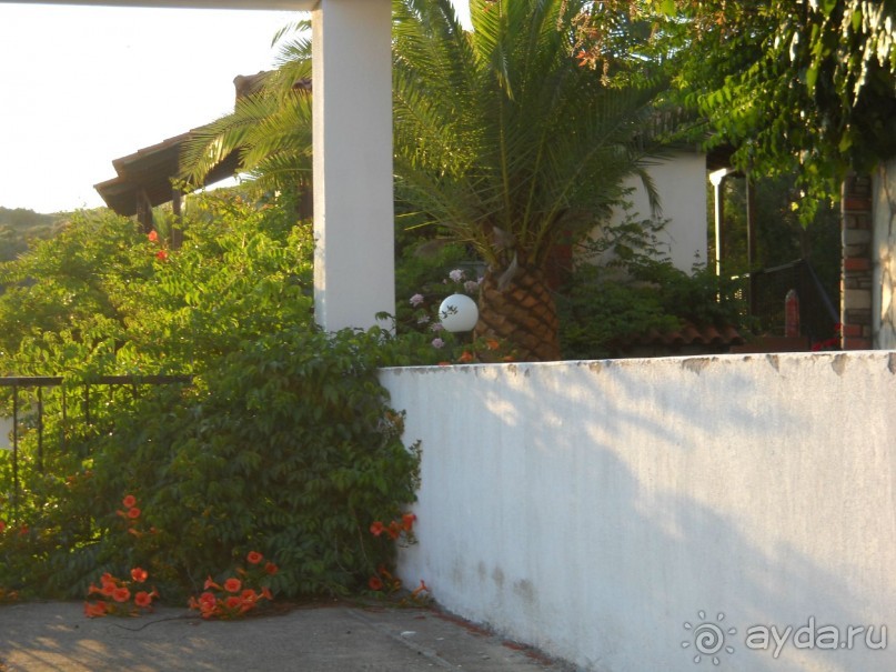 фото Aristoteles Holiday Resort