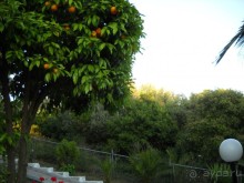 фото Aristoteles Holiday Resort