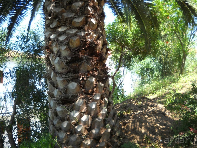 Отель для приличных людей