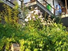 фото Aristoteles Holiday Resort