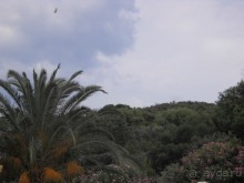 Отель для приличных людей