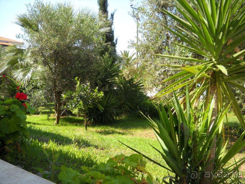 Отель для приличных людей