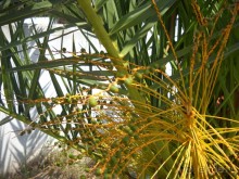 Отель для приличных людей